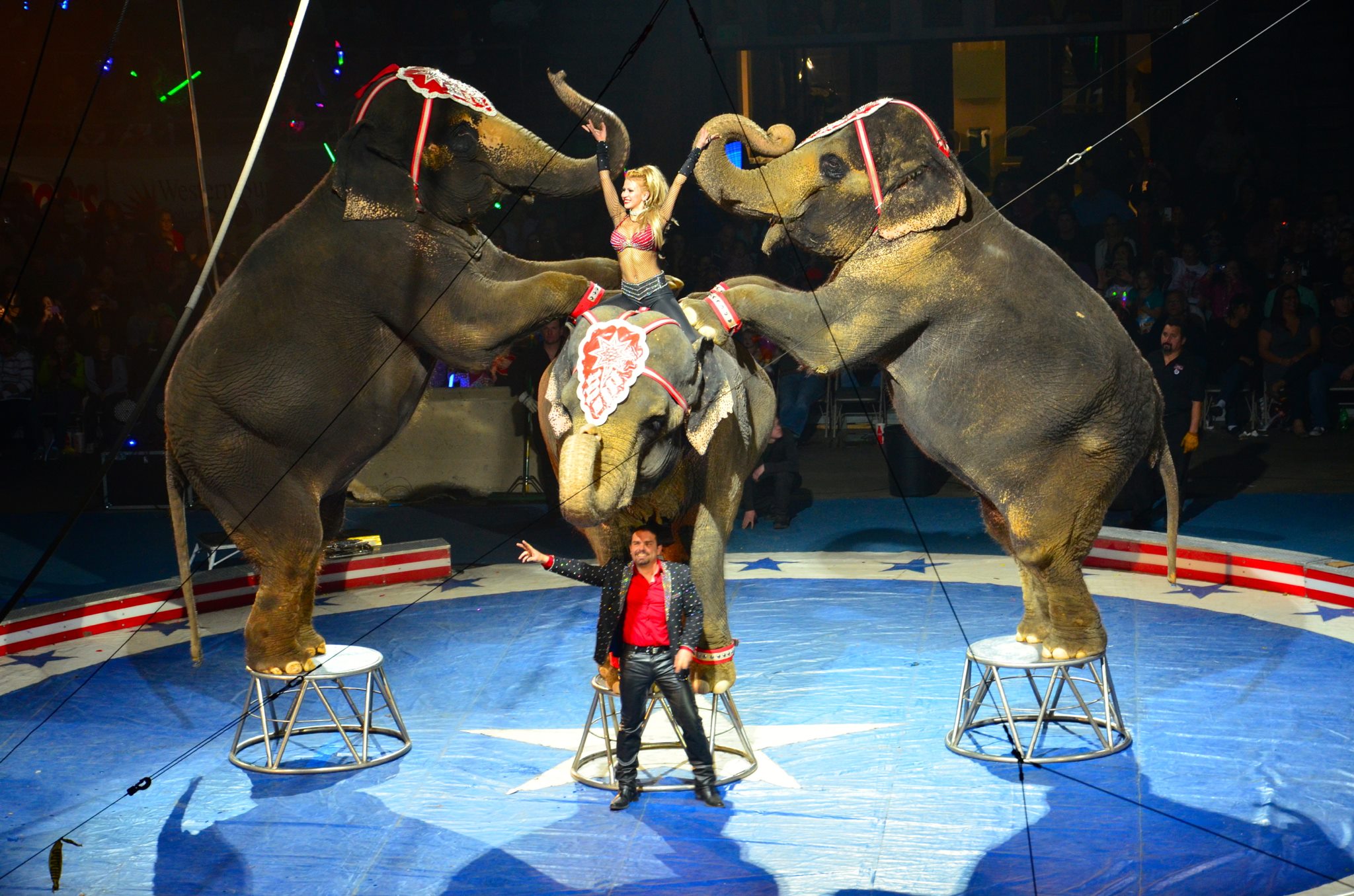 Jordan world circus